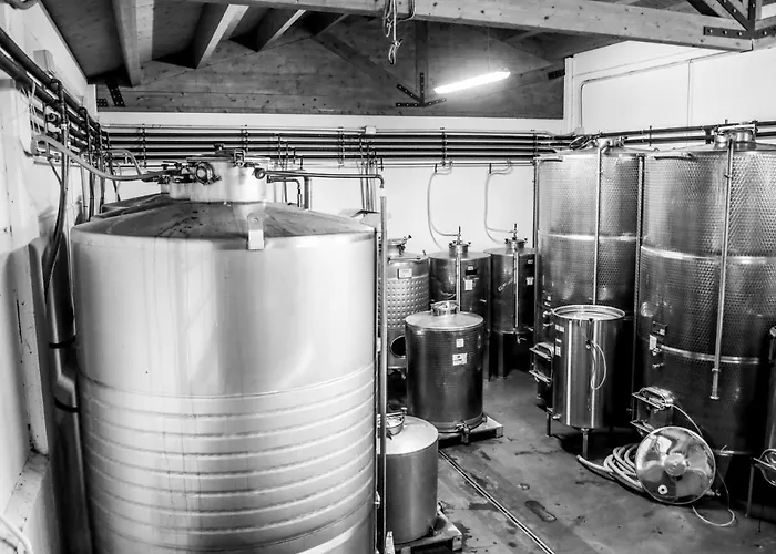 E Cantina La Sabbiona