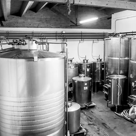 E Cantina La Sabbiona