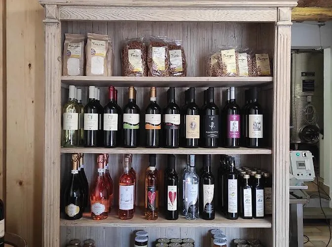 Çiftlik konaklama E Cantina La Sabbiona *